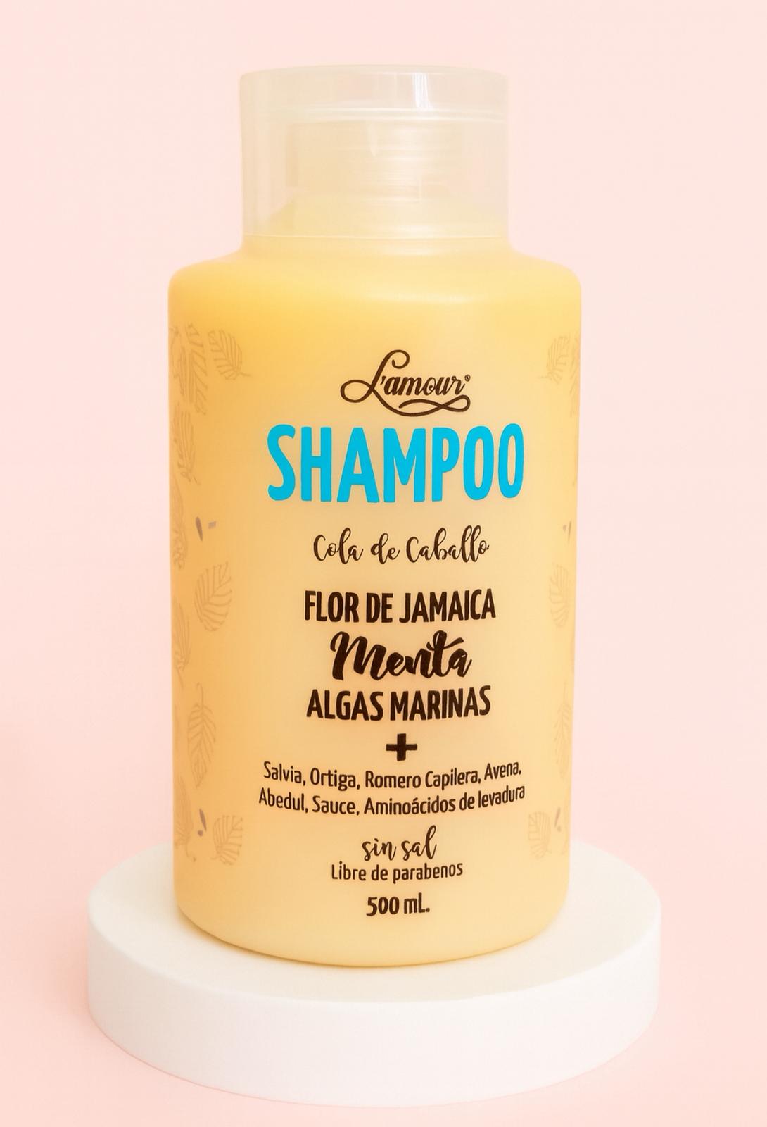 Champú cola de caballo